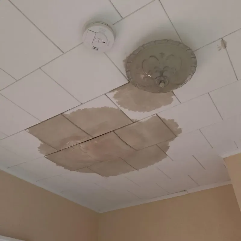 Ceiling Water Damage Repair in Oxford County, ME
