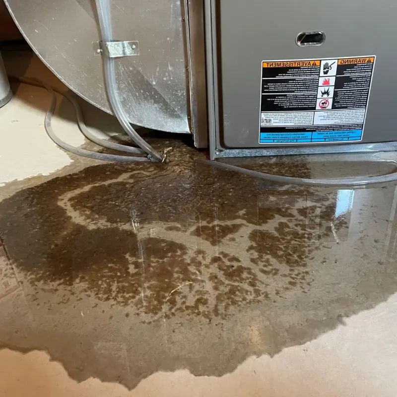 Pipe Burst and Leak Restoration in Oxford County, ME