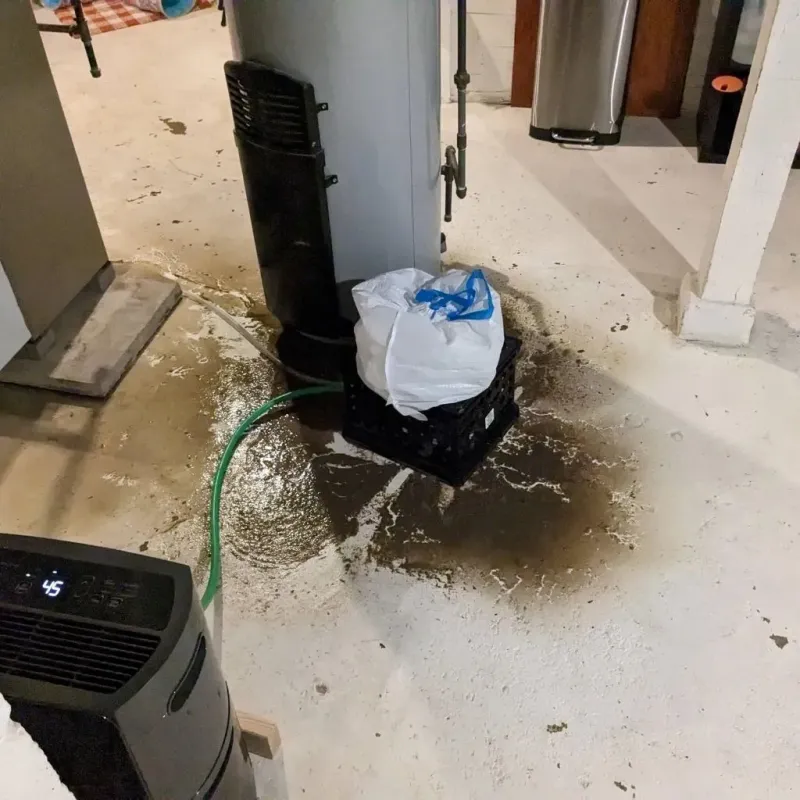 Sewage Backup Cleanup Service in Oxford County, ME